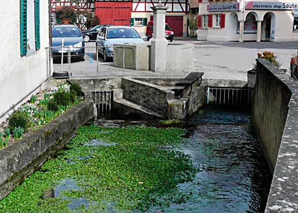 d_bachteilung_marktplatz_600