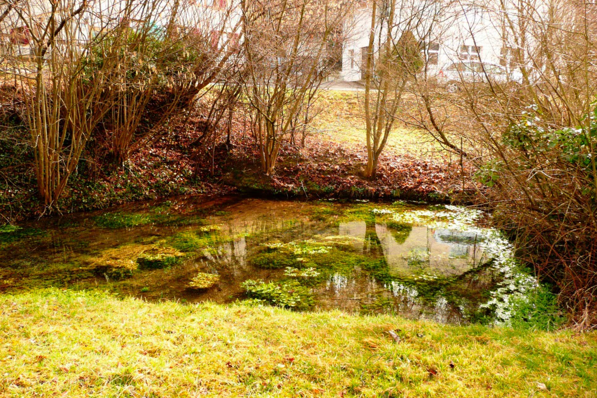 quelle_muelibach_1934